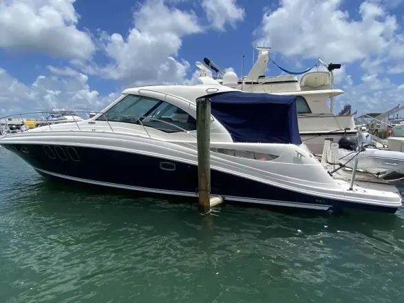 Sea Ray 48 Sundancer Born To Be Wild