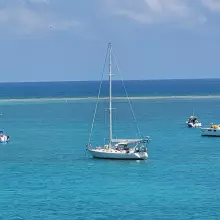 Thumbnail von Stevens 	47