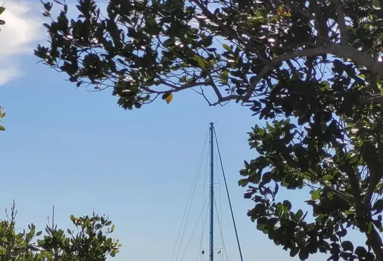 Thumbnail von Stevens 	47