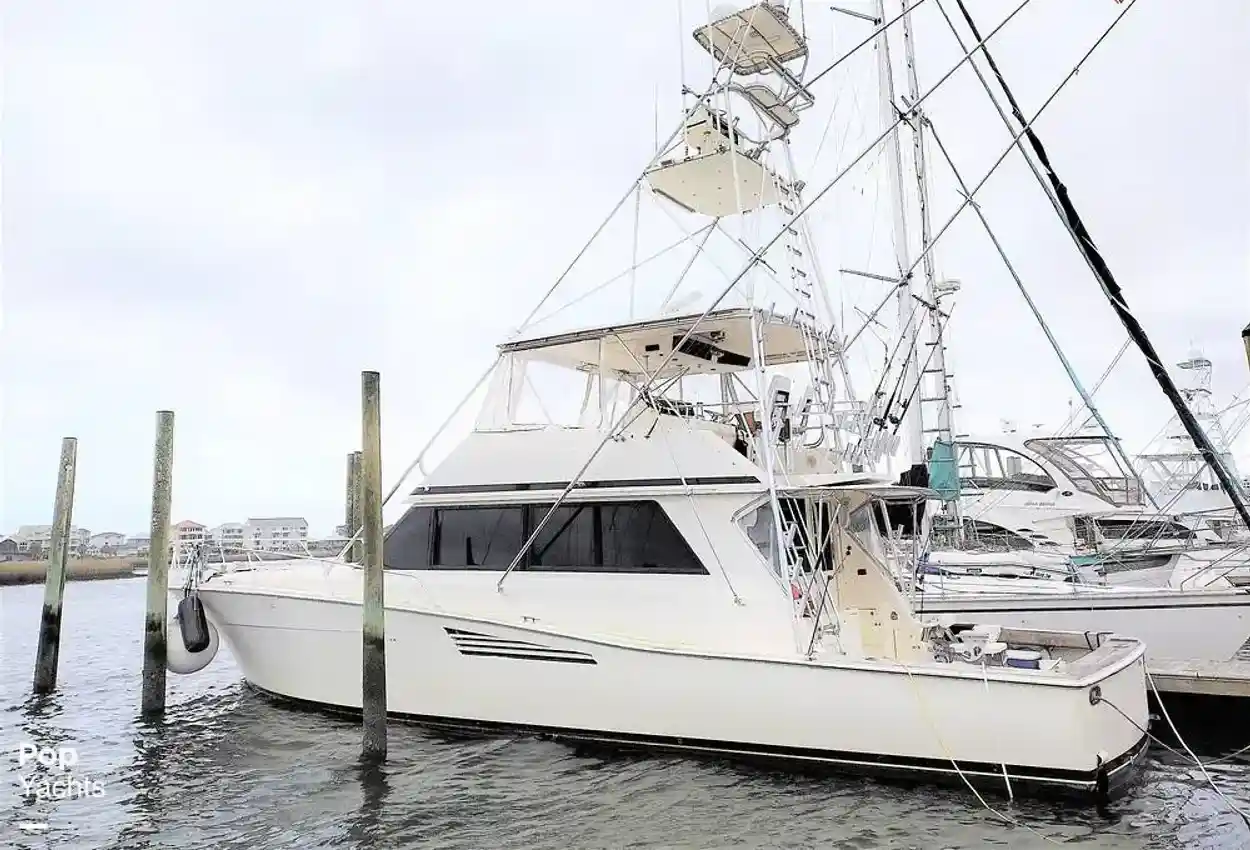 Viking 53 Convertible