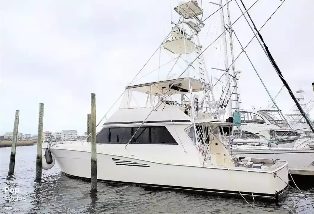 Viking 53 Convertible