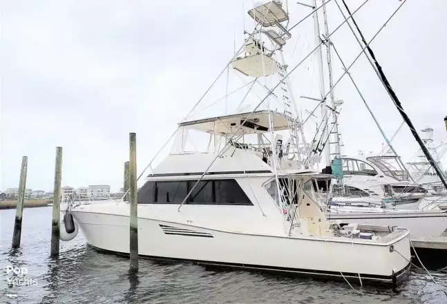 Viking 53 Convertible