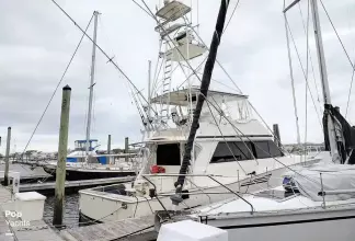 Thumbnail von Viking 53 Convertible