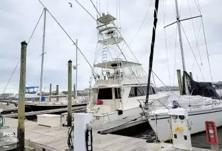 Thumbnail von Viking 53 Convertible