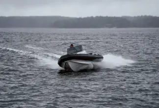 Thumbnail von Fugu 29