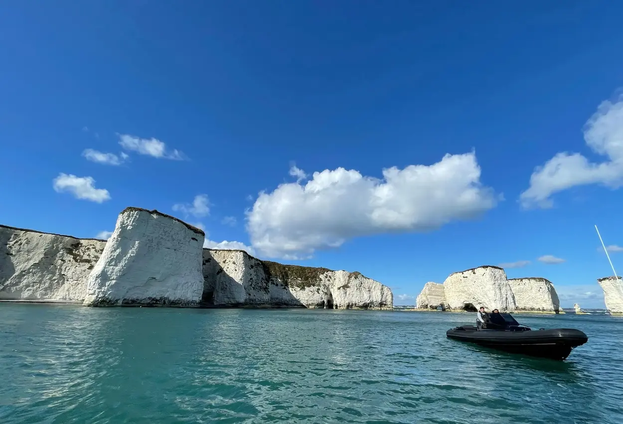 Thumbnail von Fugu 29