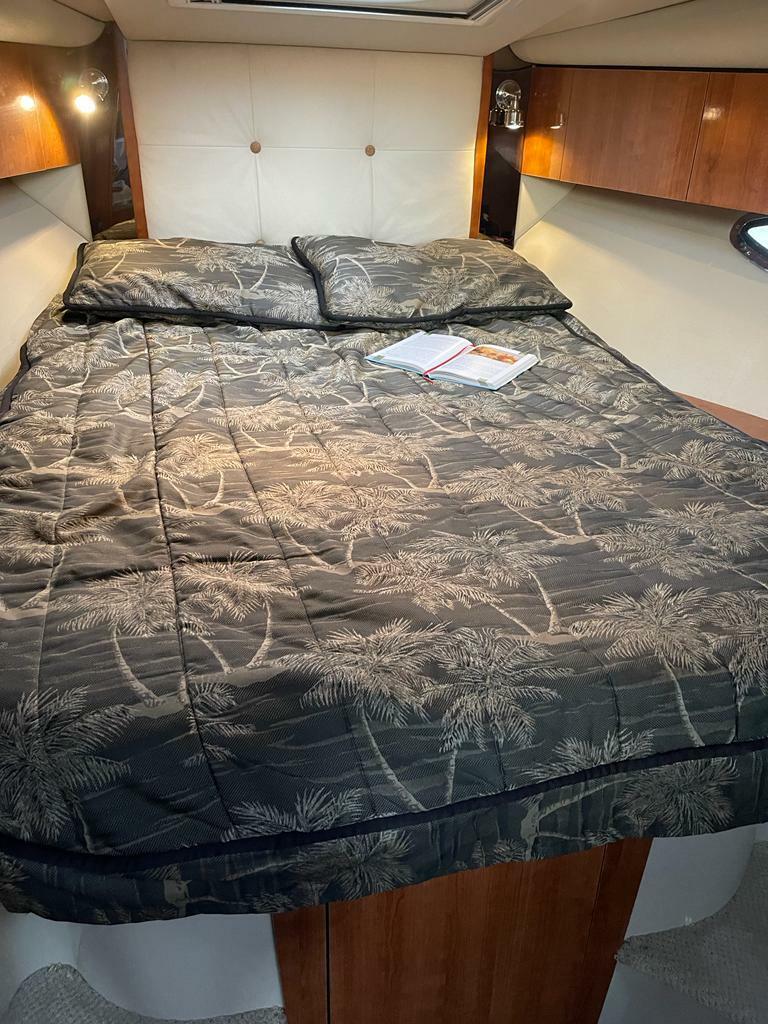 Thumbnail von Cruisers 330