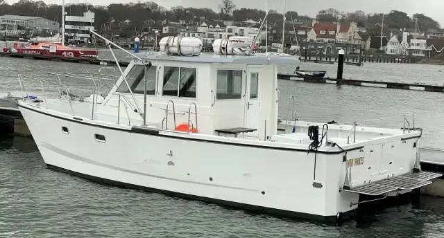 Thumbnail von Custom Catamaran