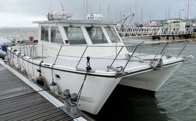 Thumbnail von Custom Catamaran