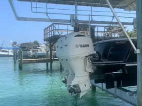 Thumbnail von Scout 350 LXF Sand Dollar Too