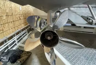 Thumbnail von Eliminator 36 Daytona