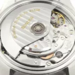 watches-319273-27289657-58xf2mdbxleunr15c19bitlj-ExtraLarge.webp