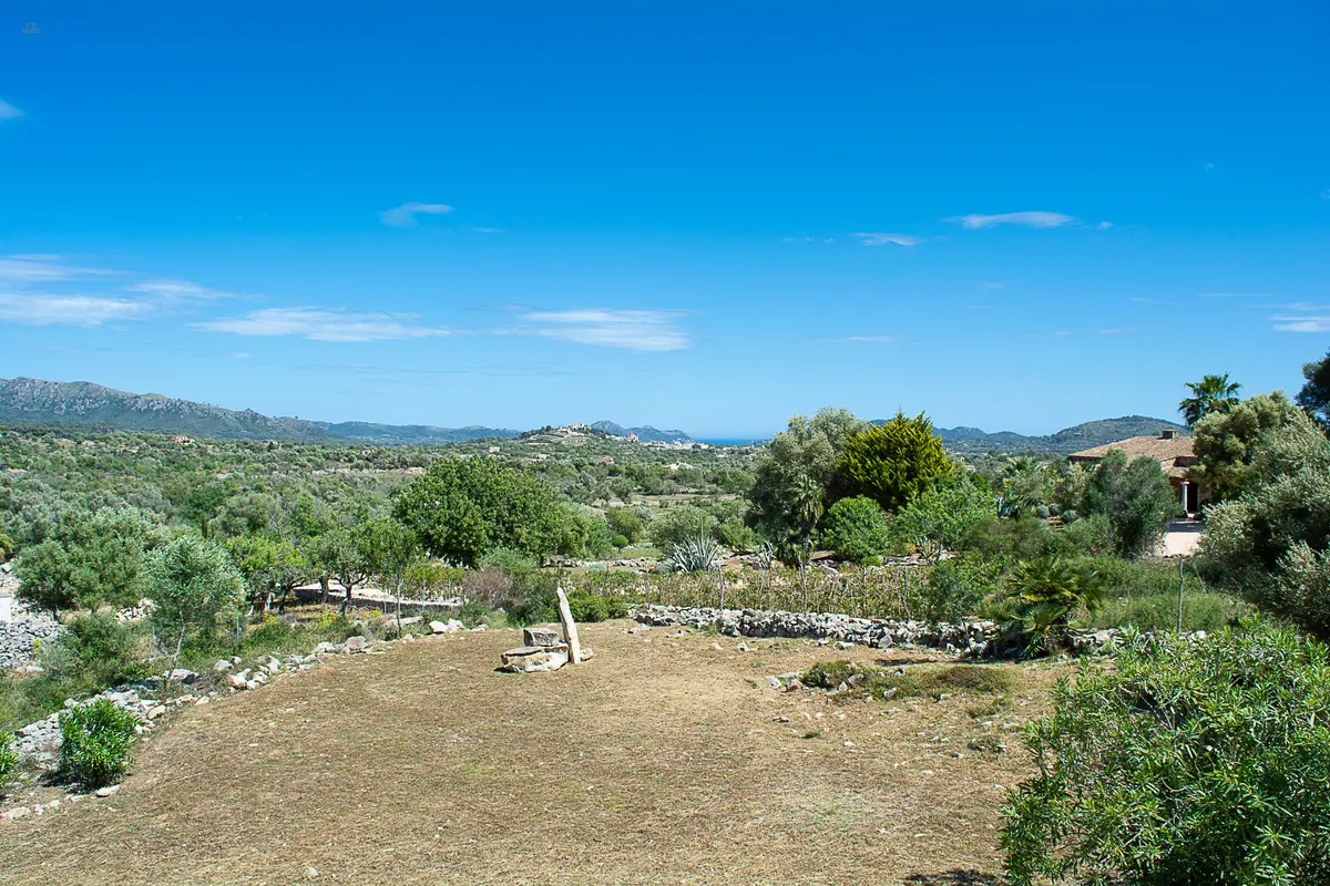 Aussicht vom Balkon