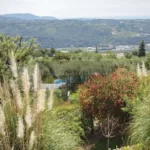 Garten mit Ausblick