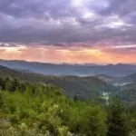 properties-20266-Schwarzwald2.webp