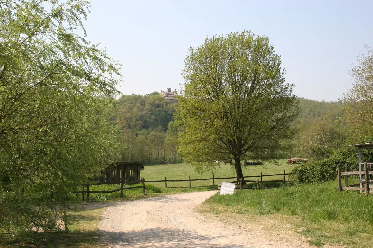 RIF2262-lang24#RIF 2262 Blick auf Land und Umgebung