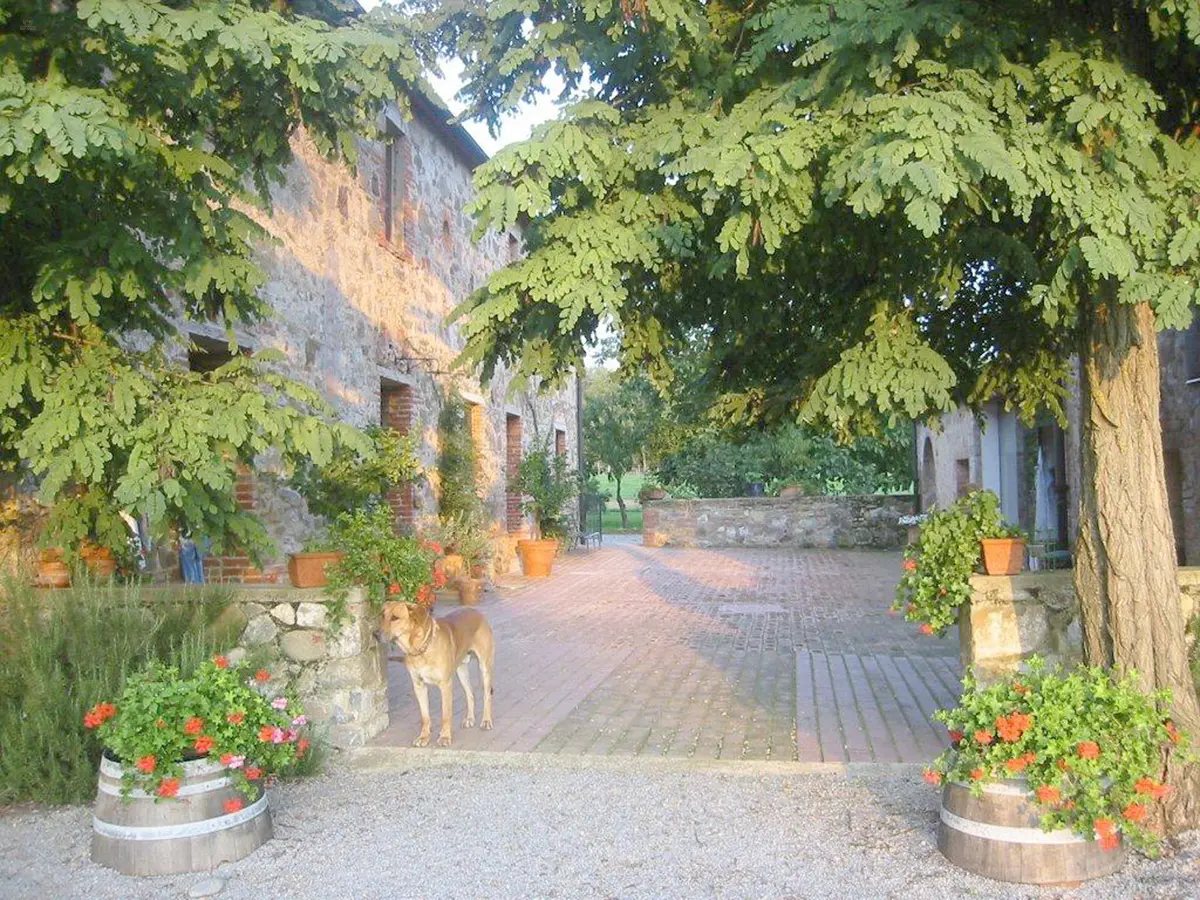 RIF2262-lang6#RIF 2262 Blick auf den Hof zwischen Haupthaus und Nebengebäude