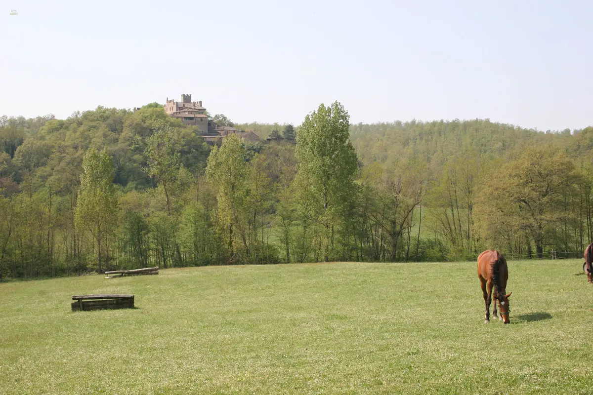 RIF2262-lang22#RIF 2262 Pferdekoppeln mit Ausblick