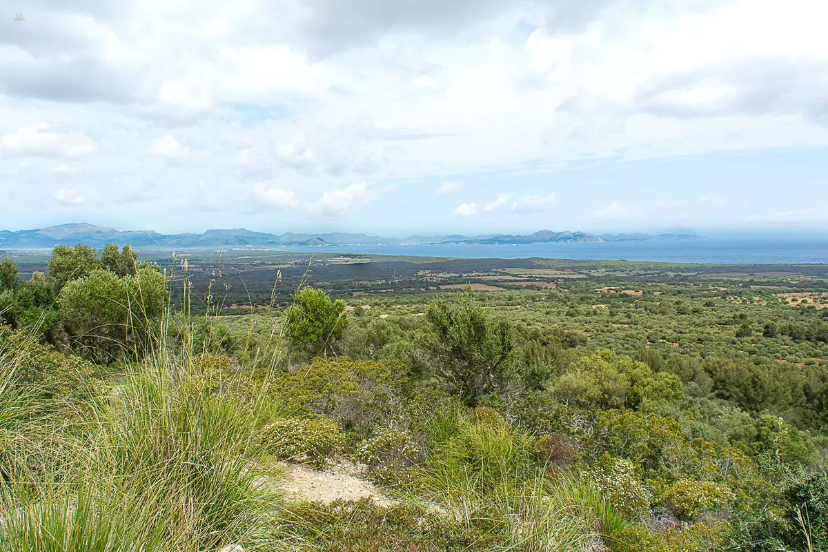 Fantastischer Panoramablick auf die Küste...