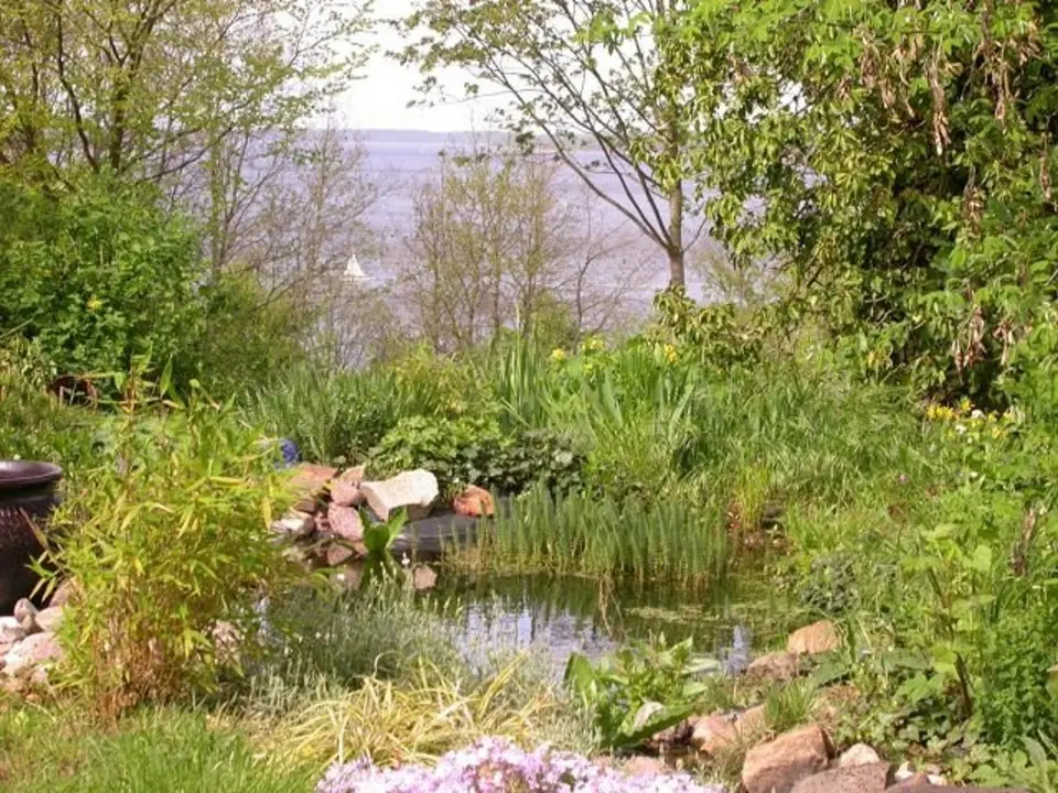 Gartenteich mit Seeblick