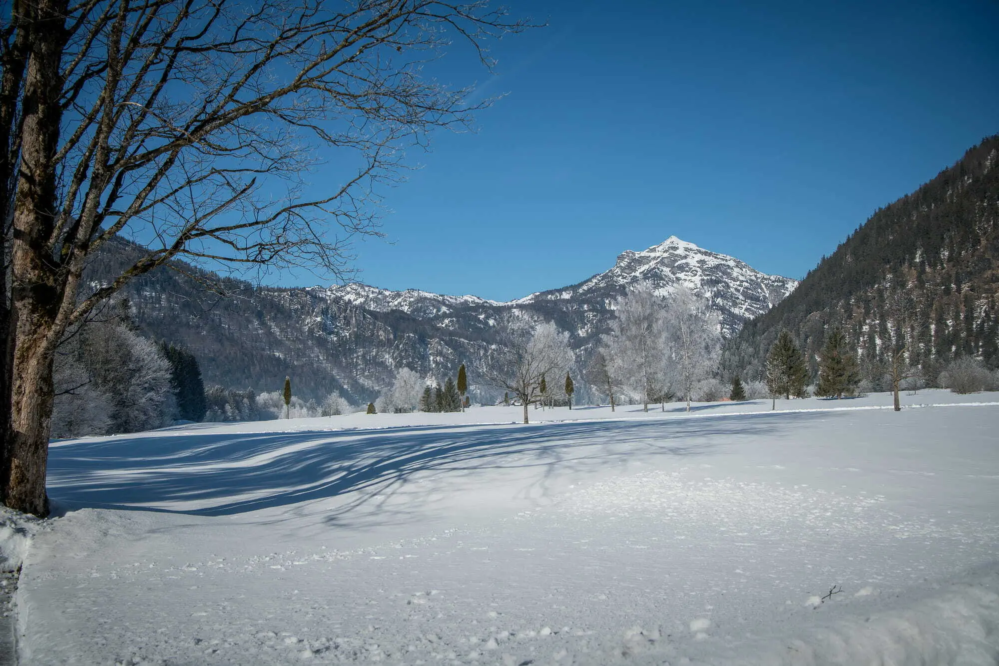 _FMP5007-Waidring Stöcklweg