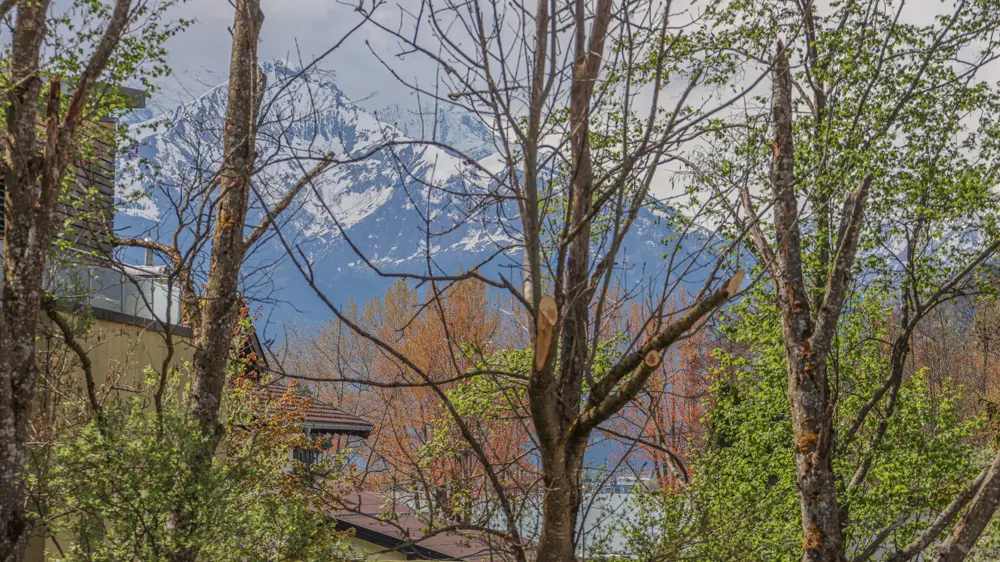 KITZIMMO-Haus kaufen Masihofen/Zell am See.