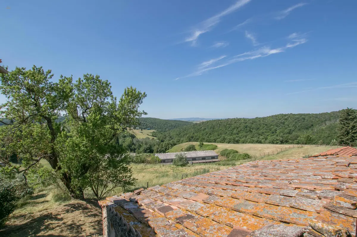 RIF 2982 Blick auf Landschaft