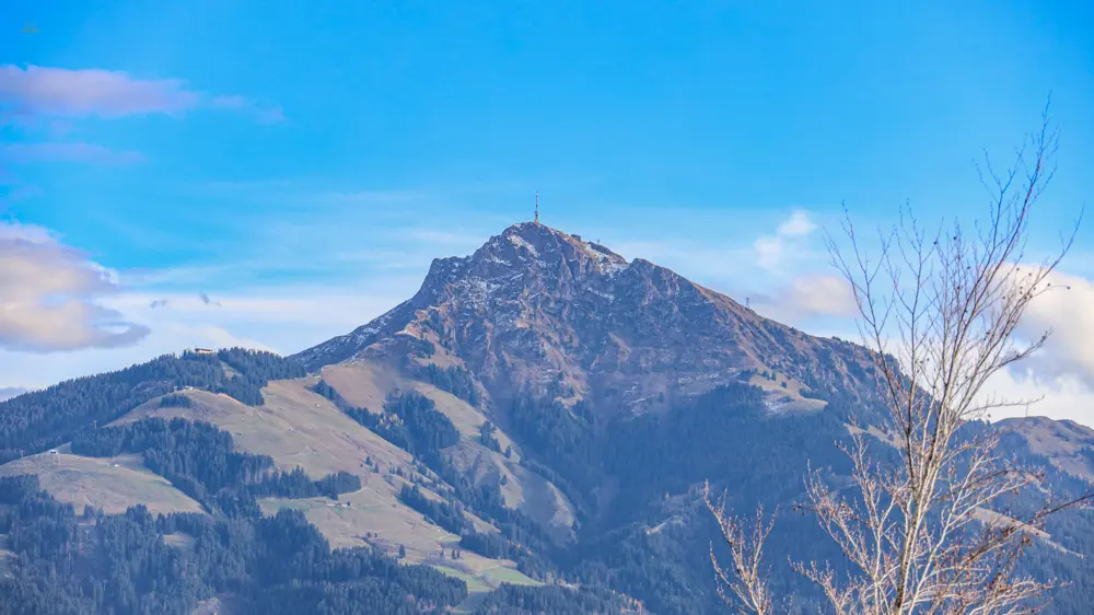 KITZIMMO-Luxusvilla in Going am Wilden Kaiser.