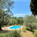 RIF 3026 Pool und Garten