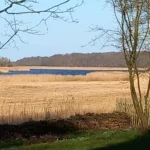 Großer Jasmunder Bodden