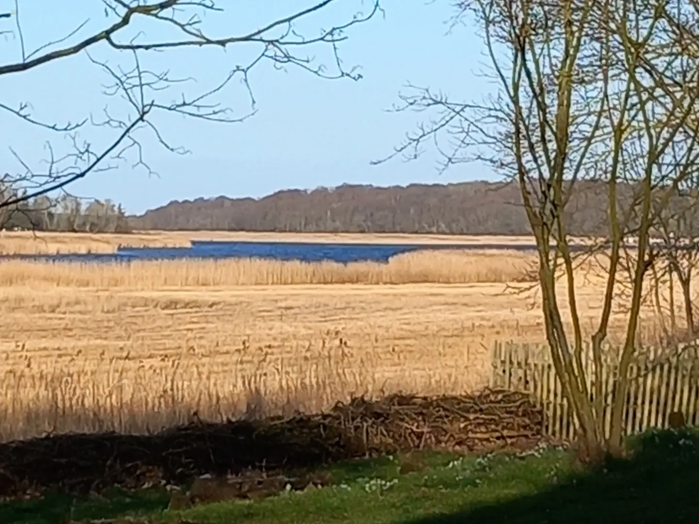 Großer Jasmunder Bodden