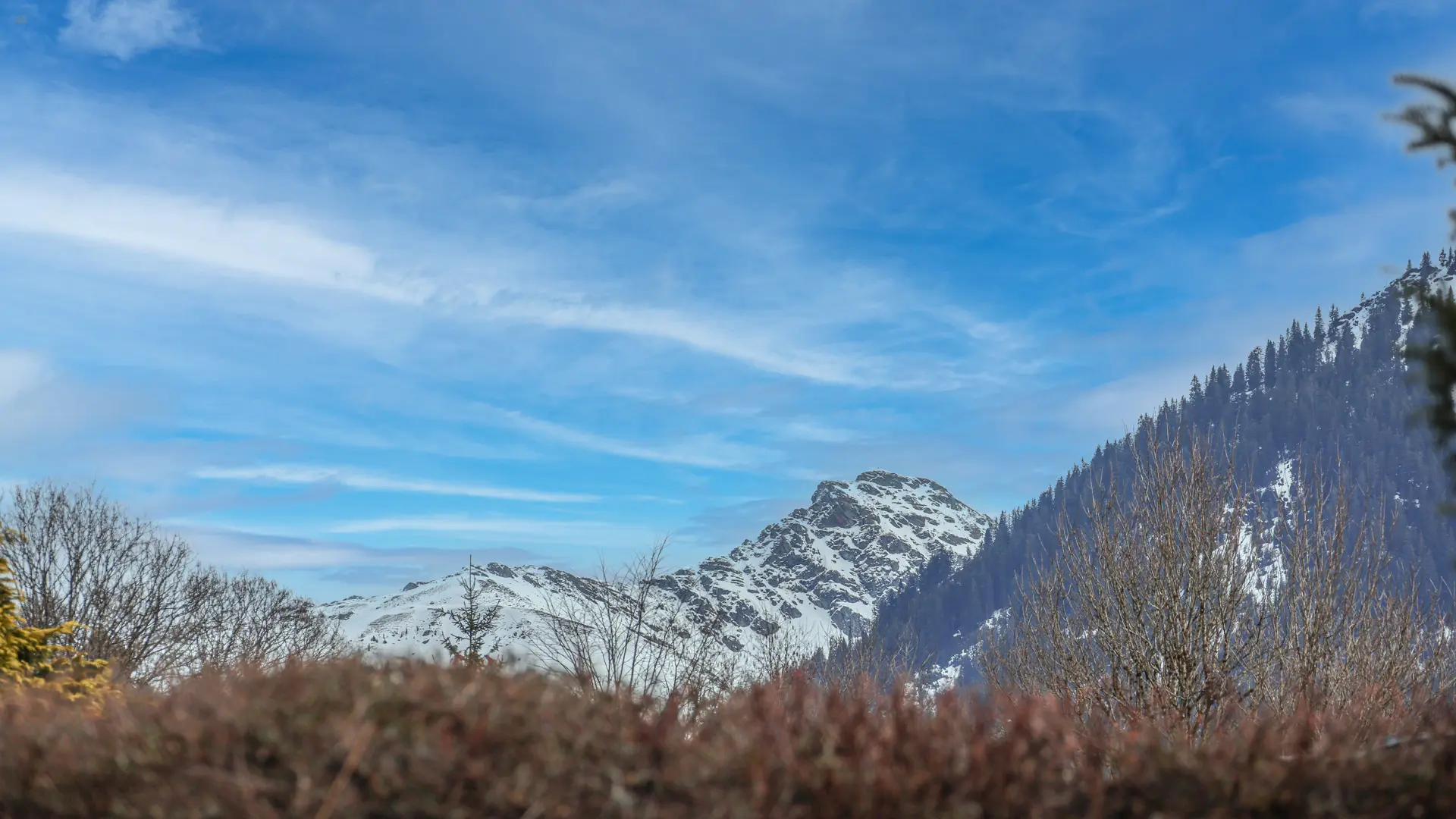 KITZIMMO-Wohnung in Kitzbühel auf der Bichlalm kaufen.