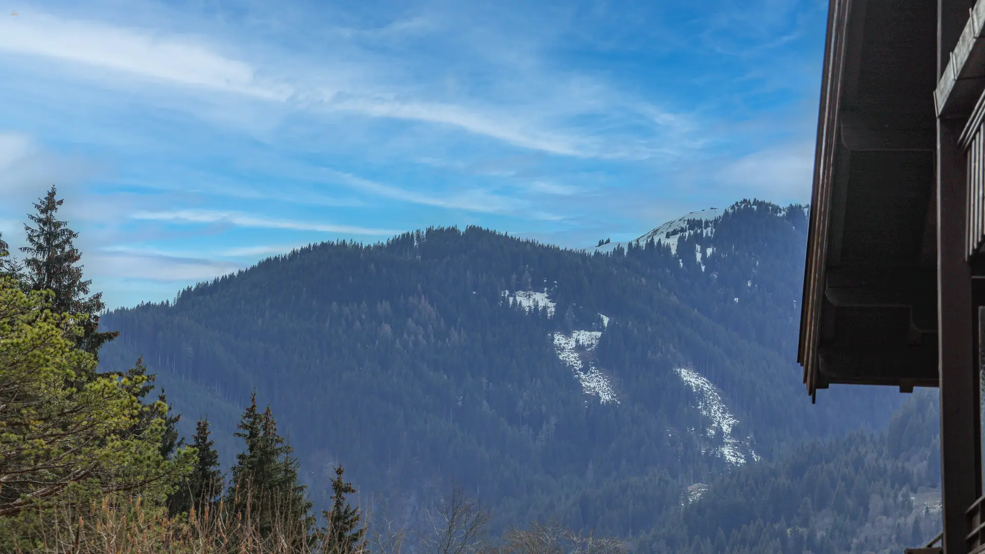 KITZIMMO-Wohnung in Kitzbühel auf der Bichlalm kaufen.