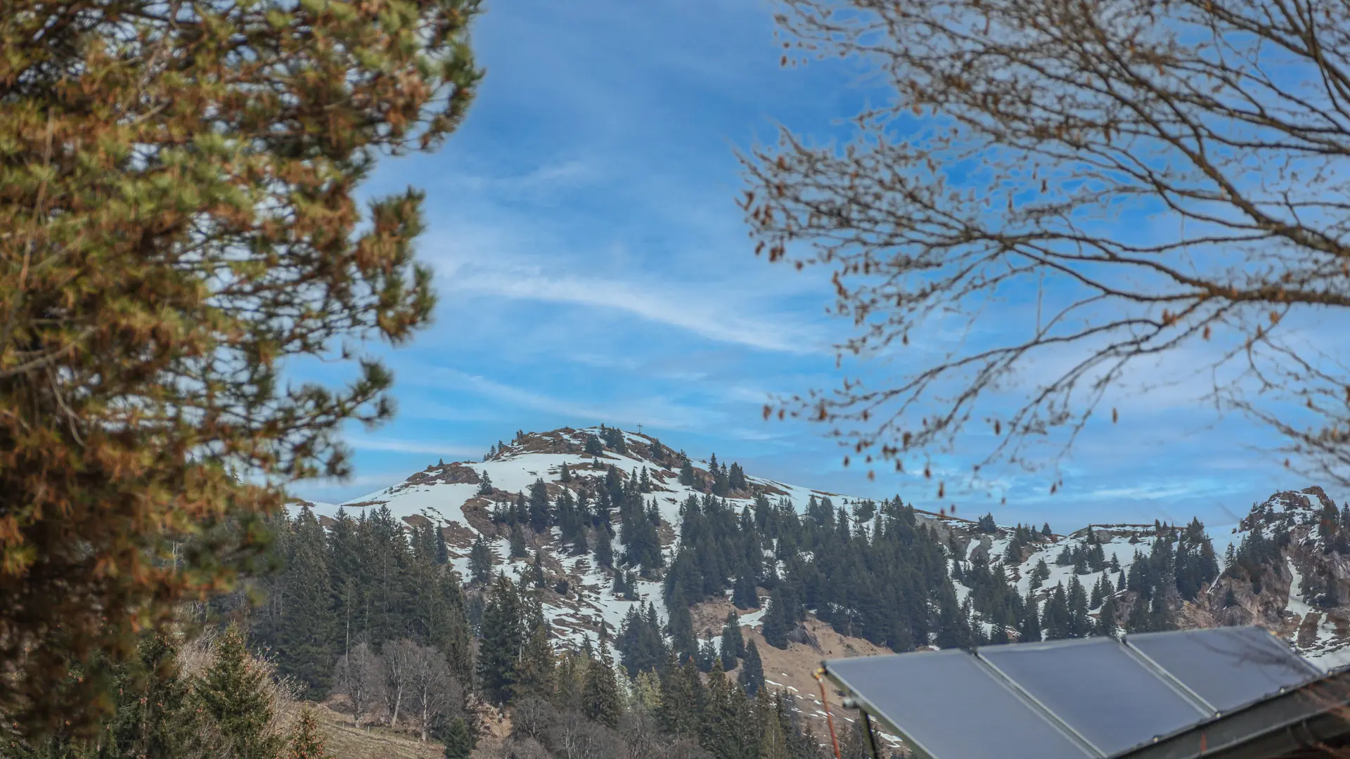 KITZIMMO-Wohnung in Kitzbühel auf der Bichlalm kaufen.