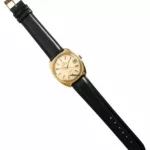 watches-126674-9729122-slerm3tgi57omz66sll1mxc3-ExtraLarge.webp