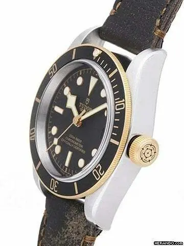 watches-184548-13713169-fv13cg04w70t42sq4cnolhv7-Large.webp