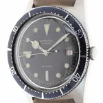 watches-196005-14932846-sq38ua64sir8diushdy7n06l-ExtraLarge.webp