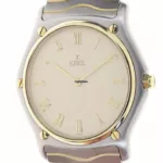 watches-208800-15965165-0kgpjz1x58ybjcdwm8vs2h6a-ExtraLarge.webp