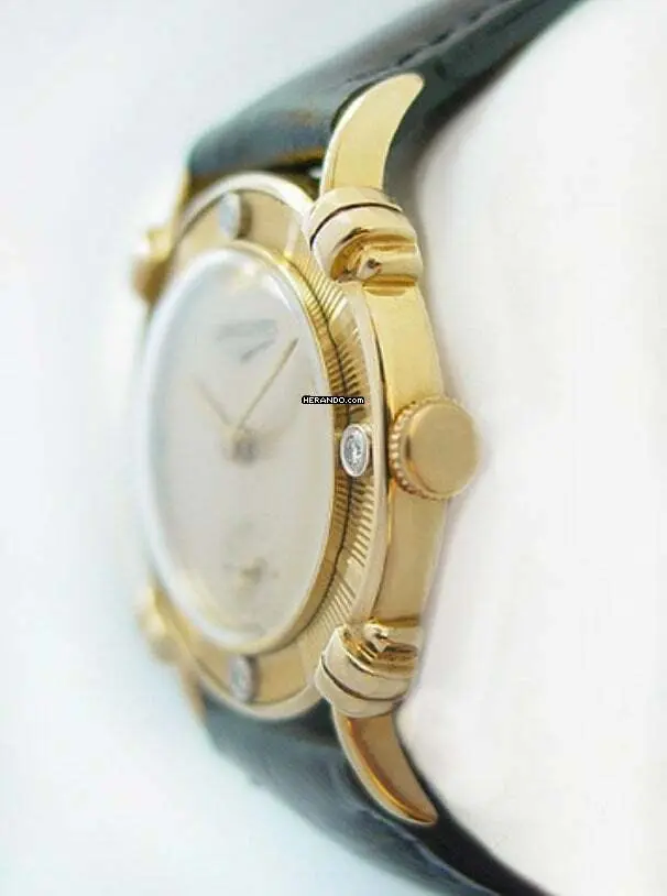 watches-237858-18595956-9goidotgcgh66x55zovn39x9-ExtraLarge.webp