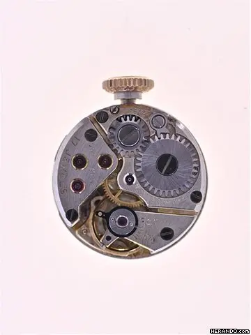 watches-237973-18595480-vvlnyg2mft6tw9ti2ptlea58-Large.webp