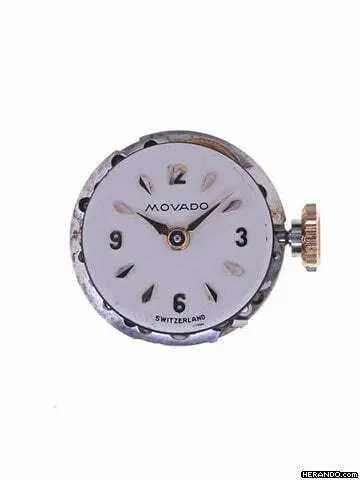 watches-237976-18595489-3gr8nx19t2lfol7xkdt8j45m-Large.webp