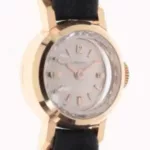 watches-238009-18595633-b10sk9a9wb13vl15in8a8opy-Large.webp