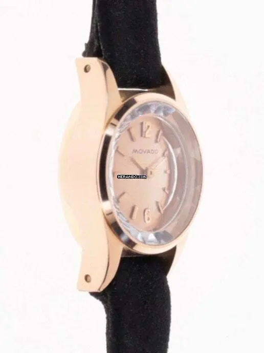 watches-238010-18595635-iemu1cdceqa5svwu8c55xnri-ExtraLarge.webp