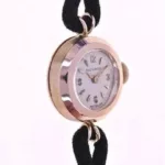 watches-238045-18595821-n2m3uihmmq6sq21b0qbjv93w-Large.webp