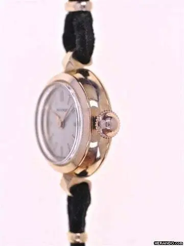 watches-238046-18595822-in321wf3rf6yjmh8t1mzpt9n-Large.webp