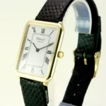 watches-251543-19839015-nlsn4y56qneec9s3r66cmdvd-ExtraLarge.webp