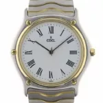 watches-258072-20422643-91cn15u5vbz8hz7v0h45uiq9-ExtraLarge.webp