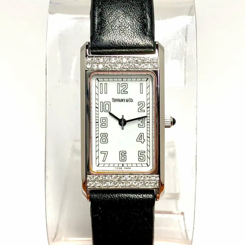 watches-259735-14615257-c6i7akdrqyxgs2z9c5fo1yy7-ExtraLarge.webp