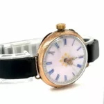 watches-264562-20473046-d7ucyql98hi6p1doidrm2lvt-ExtraLarge.webp