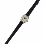 watches-265054-18869752-8r5sq2fs5s9awpm9u9jmftqh-ExtraLarge.webp